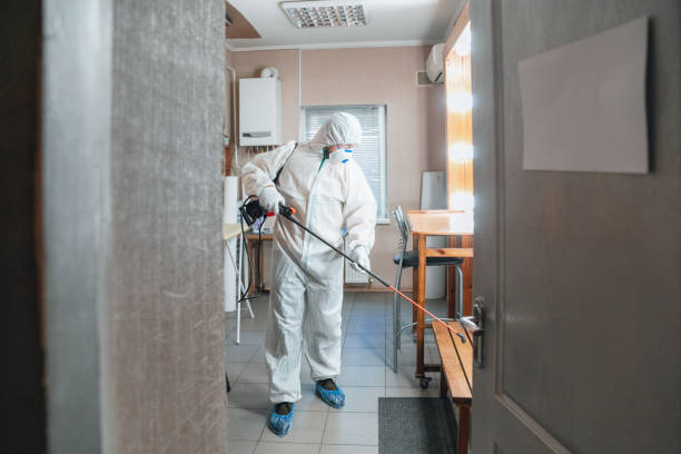  , USA Mold Removal Pros